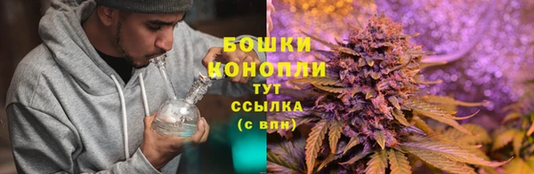 шишки Алексеевка