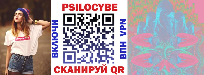 Галлюциногенные грибы Psilocybine cubensis  Чебаркуль 