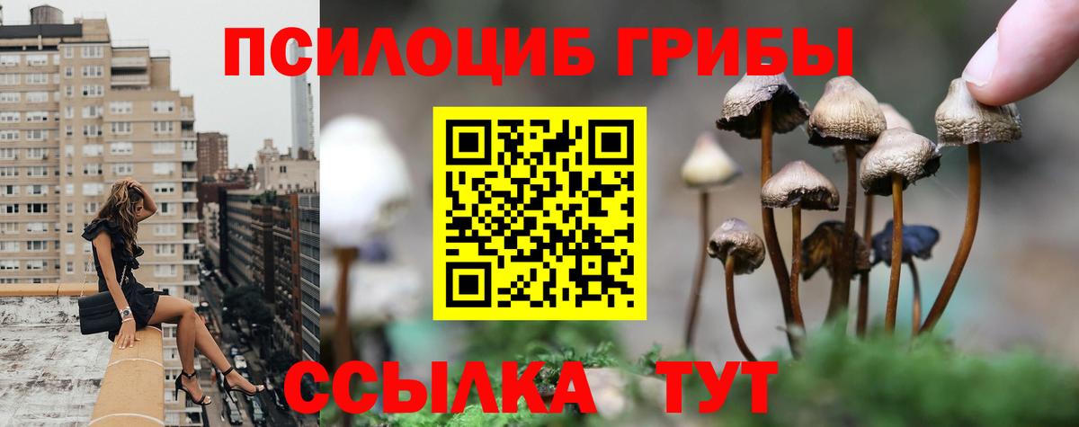Чебаркуль  Псилоцибиновые грибы мухоморы  Вход с VPN  Галлюциногенные грибы Psilocybine cubensis 